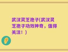 武汉灵芝孢子(武汉灵芝孢子功效神奇，值得关注！)