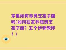 家里如何养灵芝孢子菌呢(如何在家养殖灵芝孢子菌？五个步骤教你！)