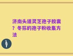 济南头道灵芝孢子胶囊？冬荪的孢子粉收集方法