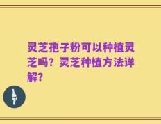 灵芝孢子粉可以种植灵芝吗？灵芝种植方法详解？