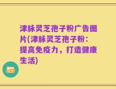 津脉灵芝孢子粉广告图片(津脉灵芝孢子粉：提高免疫力，打造健康生活)
