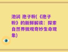 池润 孢子粉(《孢子粉》的新鲜解读：探索自然界微观奇妙生命现象)