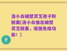 洛小白破壁灵芝孢子粉胶囊(洛小白推出破壁灵芝胶囊，增强免疫功能！)