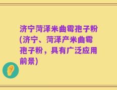 济宁菏泽米曲霉孢子粉(济宁、菏泽产米曲霉孢子粉，具有广泛应用前景)