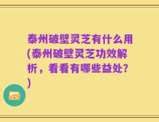 泰州破壁灵芝有什么用(泰州破壁灵芝功效解析，看看有哪些益处？)