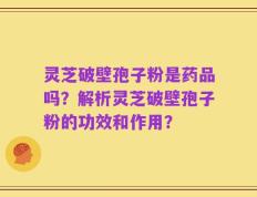 灵芝破壁孢子粉是药品吗？解析灵芝破壁孢子粉的功效和作用？