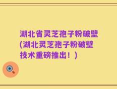 湖北省灵芝孢子粉破壁(湖北灵芝孢子粉破壁技术重磅推出！)