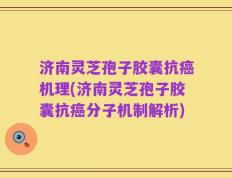 济南灵芝孢子胶囊抗癌机理(济南灵芝孢子胶囊抗癌分子机制解析)