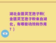 湖北金匮灵芝孢子粉(金匮灵芝孢子粉来自湖北，有哪些功效和作用？)