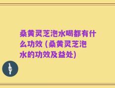 桑黄灵芝泡水喝都有什么功效 (桑黄灵芝泡水的功效及益处)