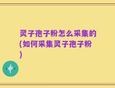 灵子孢子粉怎么采集的(如何采集灵子孢子粉)