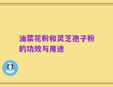 油菜花粉和灵芝孢子粉的功效与用途