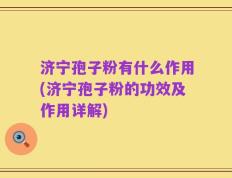 济宁孢子粉有什么作用(济宁孢子粉的功效及作用详解)