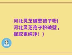 河北灵芝破壁孢子粉(河北灵芝孢子粉破壁，提取更纯净！)
