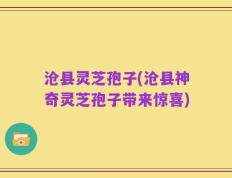 沧县灵芝孢子(沧县神奇灵芝孢子带来惊喜)