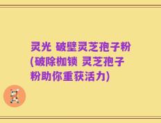灵光 破壁灵芝孢子粉(破除枷锁 灵芝孢子粉助你重获活力)