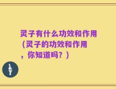 灵子有什么功效和作用 (灵子的功效和作用，你知道吗？)