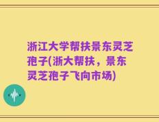 浙江大学帮扶景东灵芝孢子(浙大帮扶，景东灵芝孢子飞向市场)