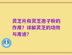 灵芝片和灵芝孢子粉的作用？详解灵芝的功效与用途？
