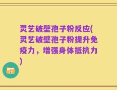 灵艺破壁孢子粉反应(灵艺破壁孢子粉提升免疫力，增强身体抵抗力)