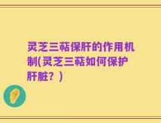 灵芝三萜保肝的作用机制(灵芝三萜如何保护肝脏？)