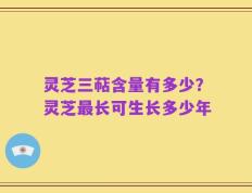 灵芝三萜含量有多少？灵芝最长可生长多少年