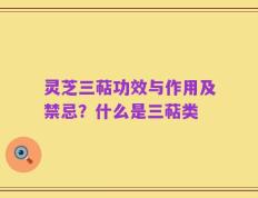 灵芝三萜功效与作用及禁忌？什么是三萜类