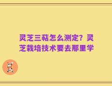 灵芝三萜怎么测定？灵芝栽培技术要去那里学