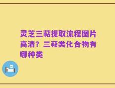 灵芝三萜提取流程图片高清？三萜类化合物有哪种类