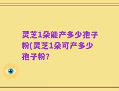 灵芝1朵能产多少孢子粉(灵芝1朵可产多少孢子粉？