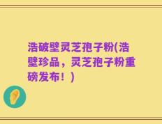 浩破壁灵芝孢子粉(浩壁珍品，灵芝孢子粉重磅发布！)