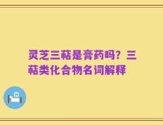 灵芝三萜是膏药吗？三萜类化合物名词解释