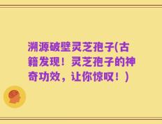 溯源破壁灵芝孢子(古籍发现！灵芝孢子的神奇功效，让你惊叹！)