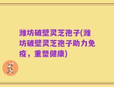 潍坊破壁灵芝孢子(潍坊破壁灵芝孢子助力免疫，重塑健康)