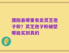 濮阳县哪里有卖灵芝孢子粉？灵芝孢子粉破壁哪能买到真的