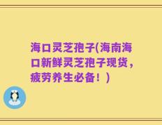 海口灵芝孢子(海南海口新鲜灵芝孢子现货，疲劳养生必备！)