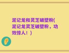 泥记龙和灵芝破壁粉(泥记龙灵芝破壁粉，功效惊人！)