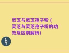 灵芝与灵芝孢子粉 (灵芝与灵芝孢子粉的功效及区别解析)