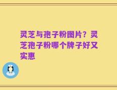 灵芝与孢子粉图片？灵芝孢子粉哪个牌子好又实惠