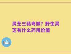 灵芝三萜粤微？野生灵芝有什么药用价值