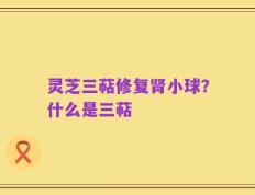 灵芝三萜修复肾小球？什么是三萜