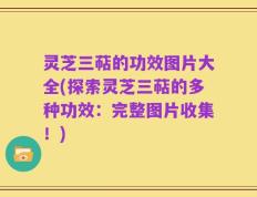 灵芝三萜的功效图片大全(探索灵芝三萜的多种功效：完整图片收集！)