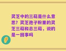 灵芝中的三萜是什么意思？灵芝孢子粉里的灵芝三萜和总三萜，说的是一回事吗