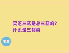 灵芝三萜是总三萜嘛？什么是三萜类