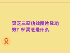 灵芝三萜功效图片及功效？栌灵芝是什么