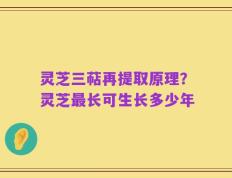 灵芝三萜再提取原理？灵芝最长可生长多少年