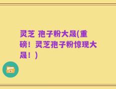 灵芝 孢子粉大晟(重磅！灵芝孢子粉惊现大晟！)