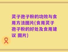 灵子孢子粉的功效与食用方法图片(食用灵子孢子粉的好处及食用建议 图片)
