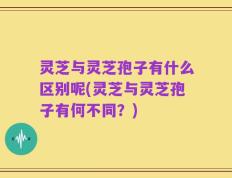 灵芝与灵芝孢子有什么区别呢(灵芝与灵芝孢子有何不同？)