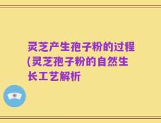 灵芝产生孢子粉的过程(灵芝孢子粉的自然生长工艺解析